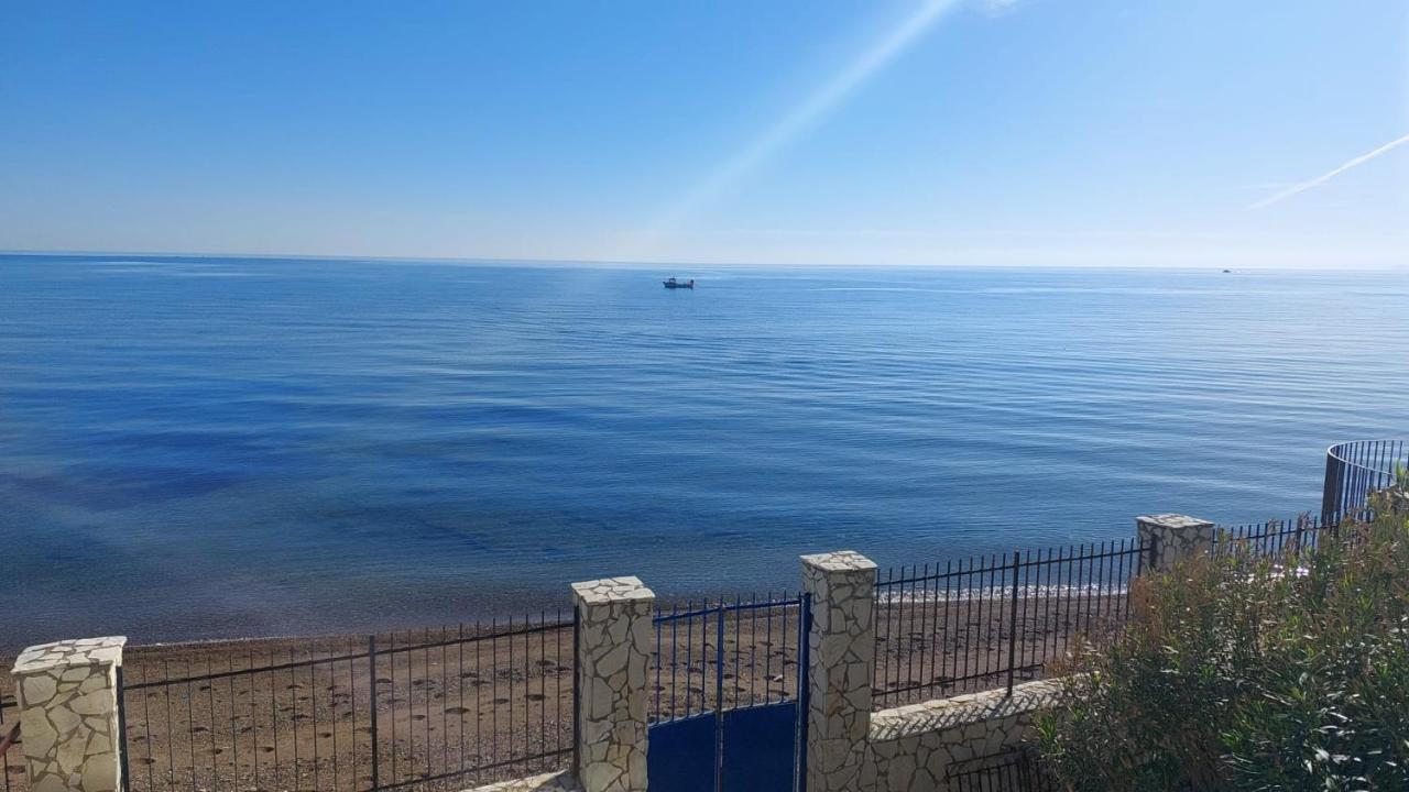 Blue Life, Sea-Luxury Rooms On The Beach Between Palermo And Cefalu' Casteldaccia Eksteriør billede